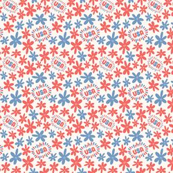 USA USA in Celebration