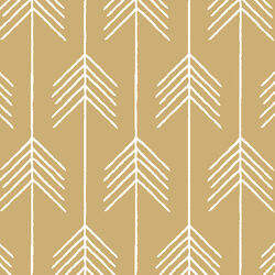 Vanes in Golden Canyon