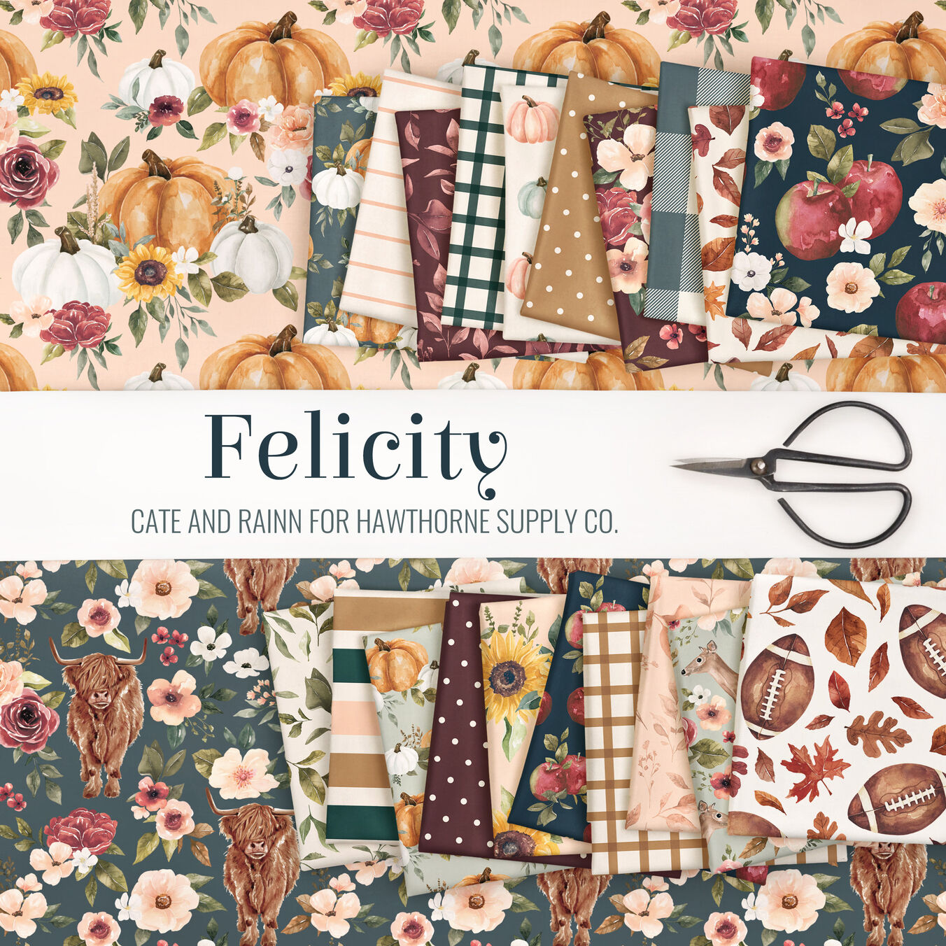 Felicity Poster Image