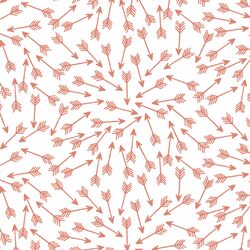Arrows in Desert Rose on White