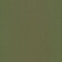 Cirrus Solid in Olive