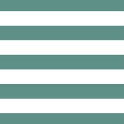 Horizontal Play Stripe in Agate