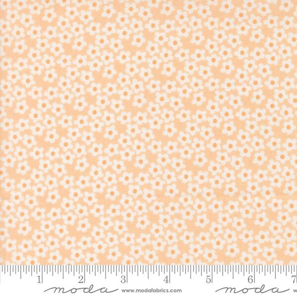 Flowers in Peach