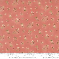 Berry Bramble in Rose
