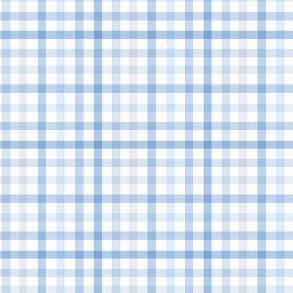 Summer Gingham in Blue