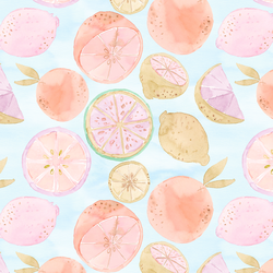 Citrus Fruit in Summer Blue