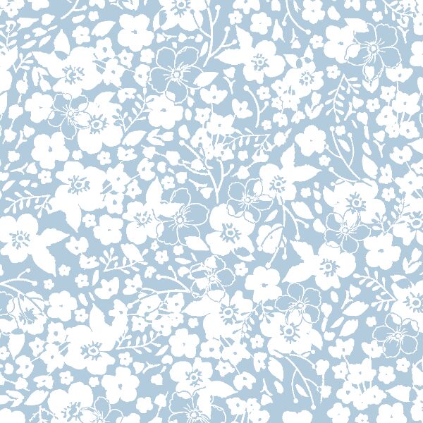 Forget Me Not in Sky
