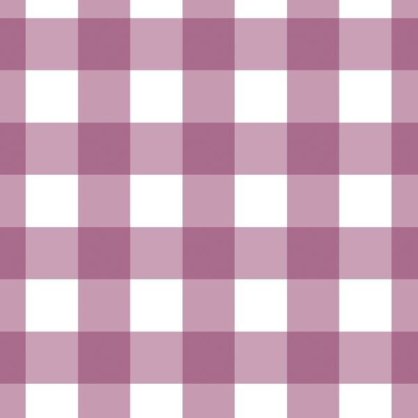 Large Gingham in Raspberry Sherbet