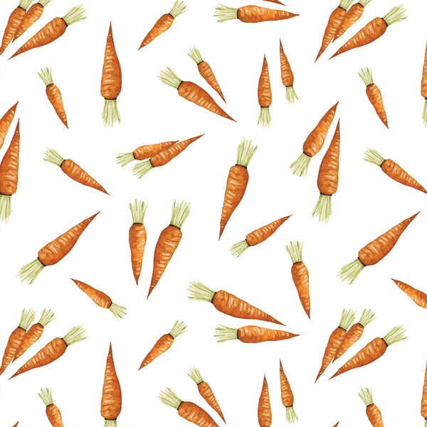 Carrot Bunches in White