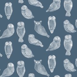 Snowy Owls in Twilight