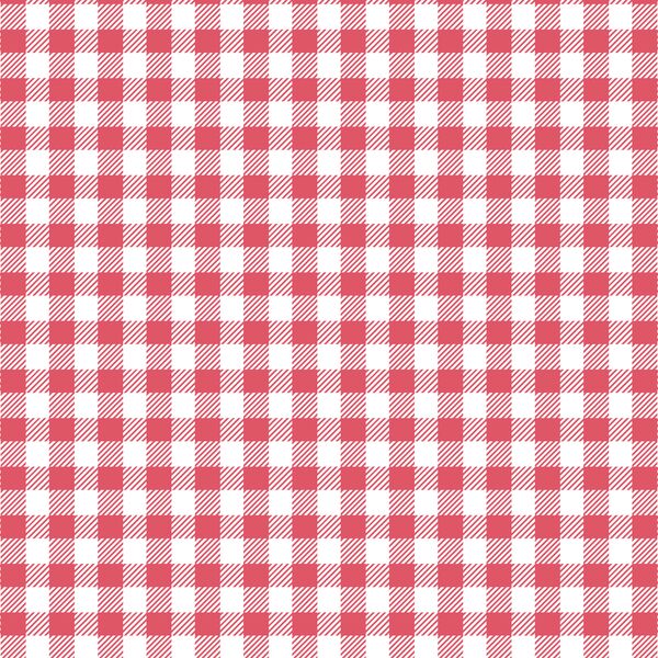 Small Buffalo Plaid in Passion