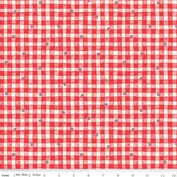 Gingham in Red