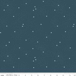 Dainty Daisy in Stargazer