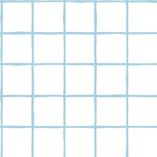 Windowpane in Robins Egg on White