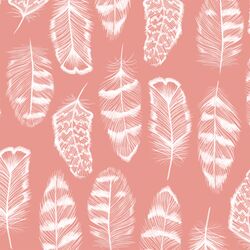 Plume in Tulip