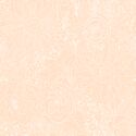 Paperie in Nude