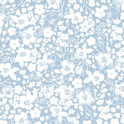 Forget Me Not in Sky