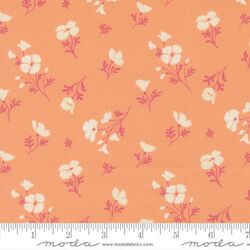 Astoria in Peach