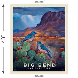 Big Bend Poster Panel (2024)
