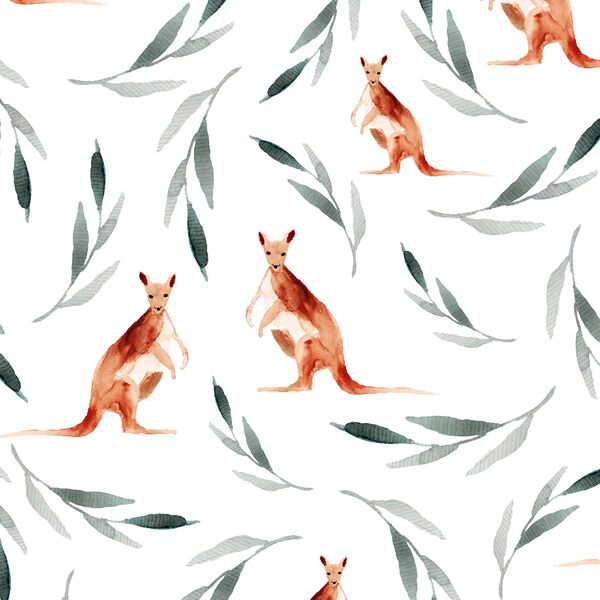 Big Kangaroos in White