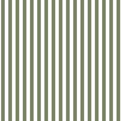 Dress Stripe in Olive