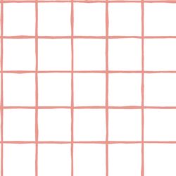 Windowpane in Tulip on White