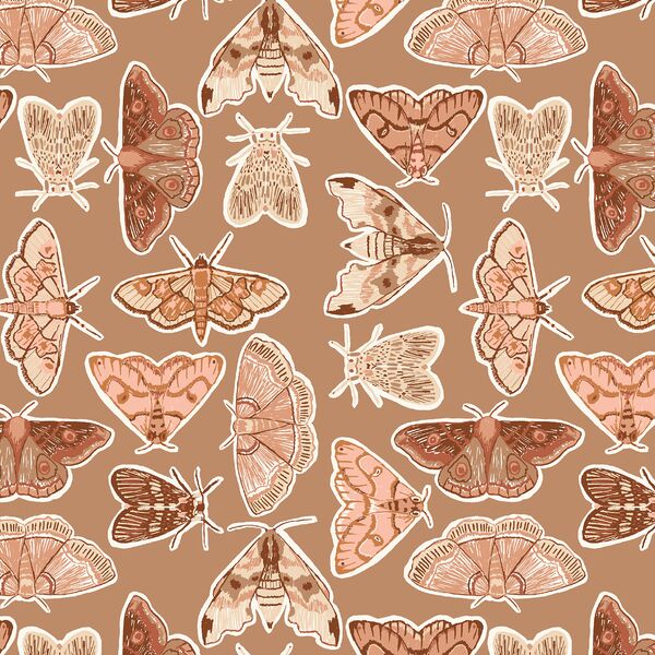 Moth to a Flame in Walnut