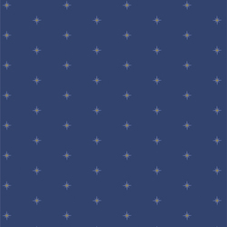 Shining in Stardusk