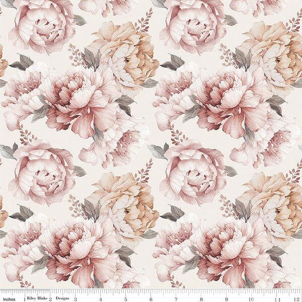 Peonies in Cream