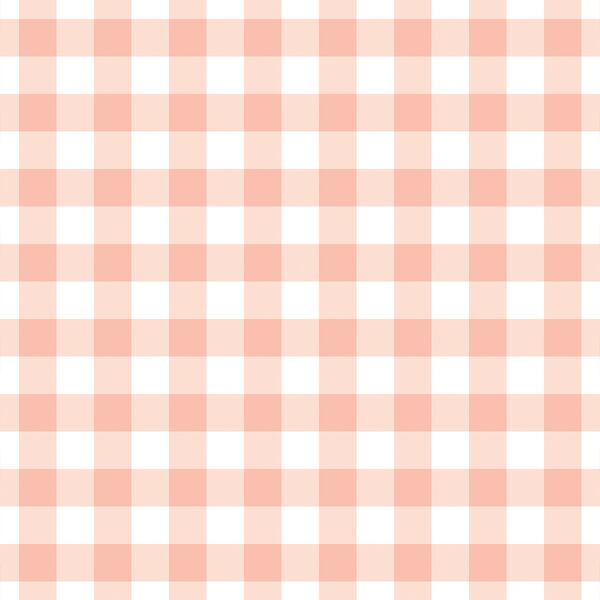 Spring Gingham in Pink