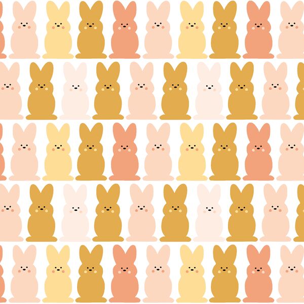Bunnies in Sunshine