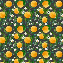 Small Oranges in Onyx