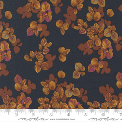 Fallen Leaves in Midnight