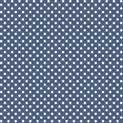 Tiny Dot in Midnight