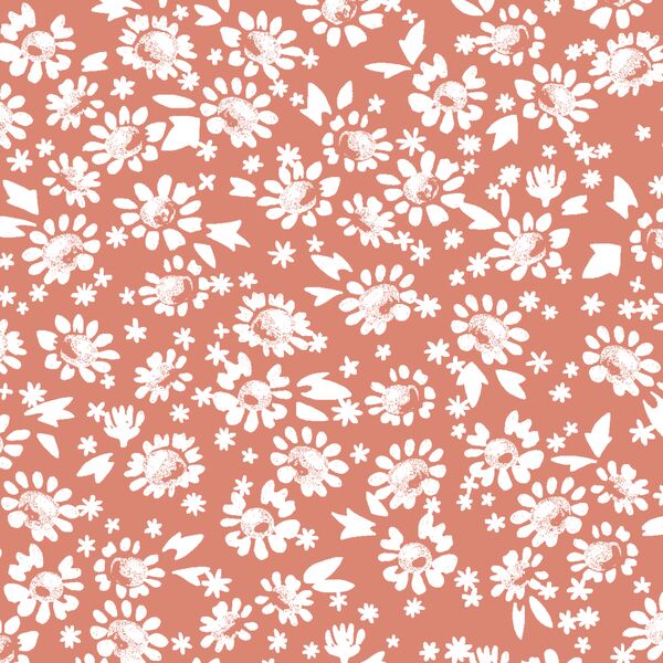 Daisies in Desert Rose