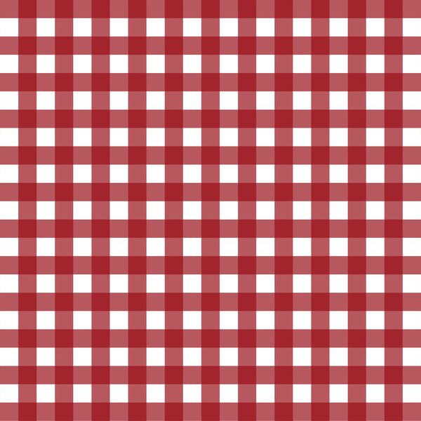 Holiday Gingham in Berry Red