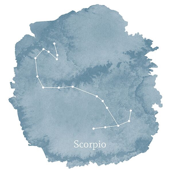 Scorpio Sign Panel in Marine