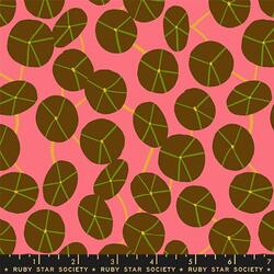 Pilea in Pink