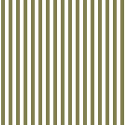 Dress Stripe in Jungle