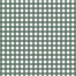 Gingham in Rain
