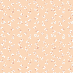 Pretty Maids in Apricot