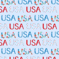 USA in Blue