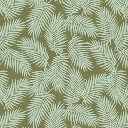 Scattered Palms in Aloe
