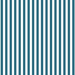 Dress Stripe in Topaz