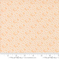 Flowers in Peach