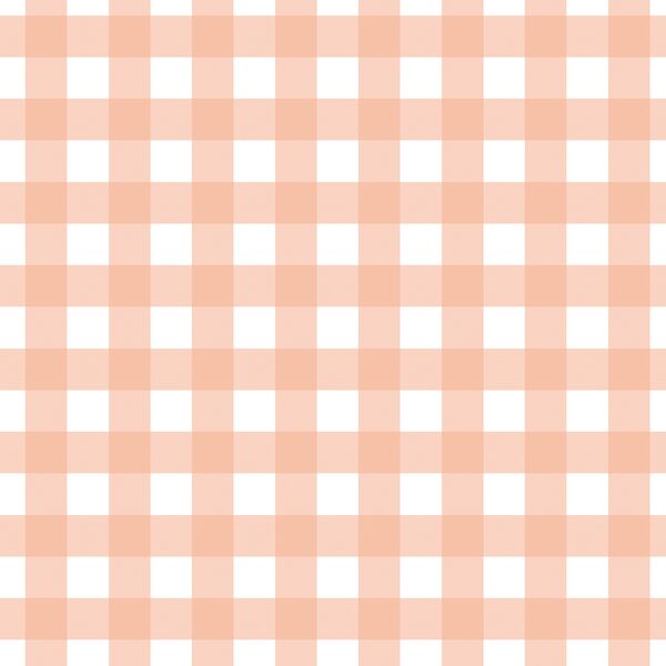 Gingham in Coral Blush