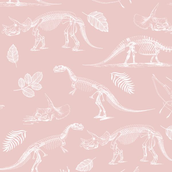 Fossils in Blush