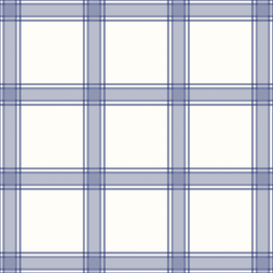 Homespun Plaid in Dutch Blue