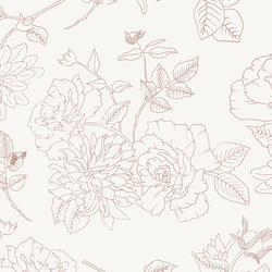 Large Garden Beauty in Mauve Blush
