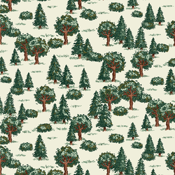 Forest for the Trees in Douglas Fir